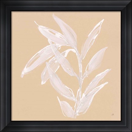 Framed Leaf Study III Print