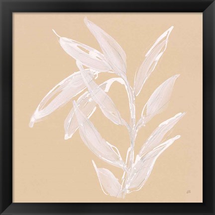 Framed Leaf Study III Print