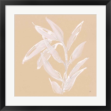 Framed Leaf Study III Print