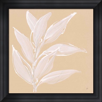 Framed Leaf Study II Print