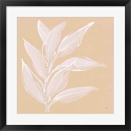 Framed Leaf Study II Print