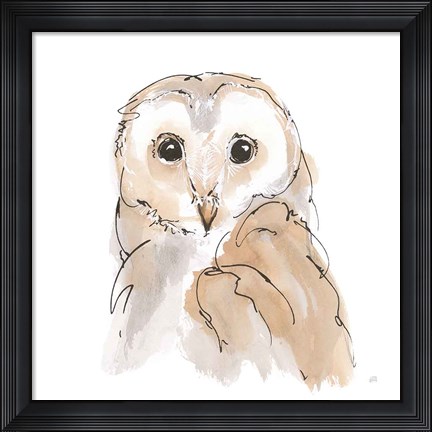 Framed Barn Owl II Print