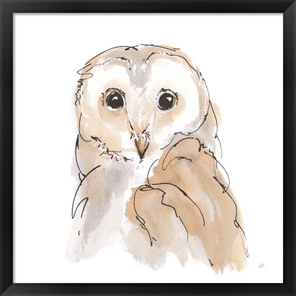 Framed Barn Owl II Print