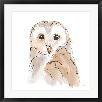 Framed Barn Owl II Print