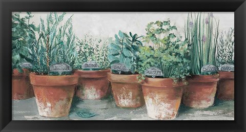 Framed Pots of Herbs II Cottage Print