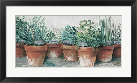 Framed Pots of Herbs II Cottage Print