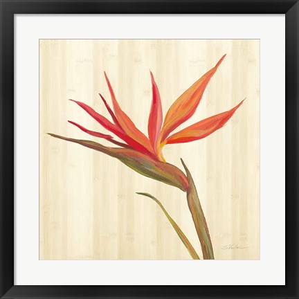 Framed Tropical Garden IV Print