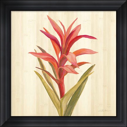 Framed Tropical Garden III Print