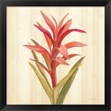 Framed Tropical Garden III Print