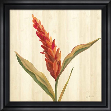 Framed Tropical Garden II Print