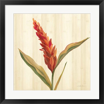 Framed Tropical Garden II Print