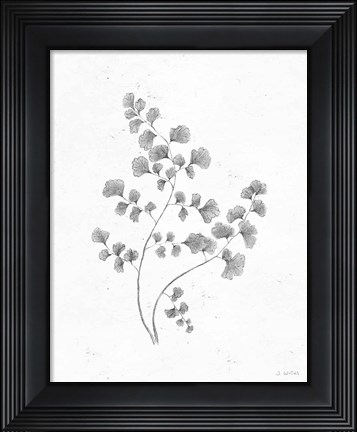 Framed Soft Summer Sketches IV Blue Print
