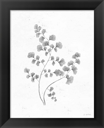 Framed Soft Summer Sketches IV Blue Print