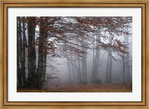 Framed Autumn Paintings Print