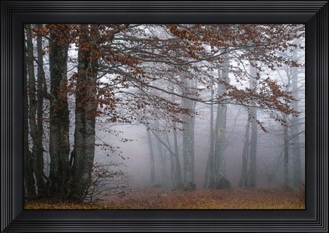 Framed Autumn Paintings Print