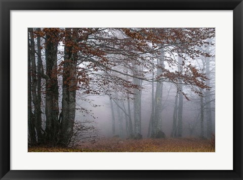 Framed Autumn Paintings Print