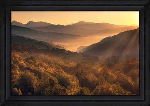 Framed Going Back Print