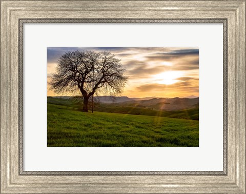 Framed Tree Print