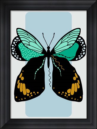 Framed Butterfly Print