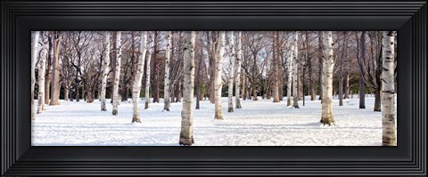 Framed Hokkaido 4 Print