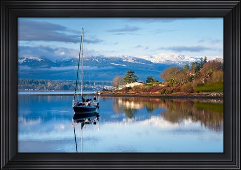 Framed Stillness Print