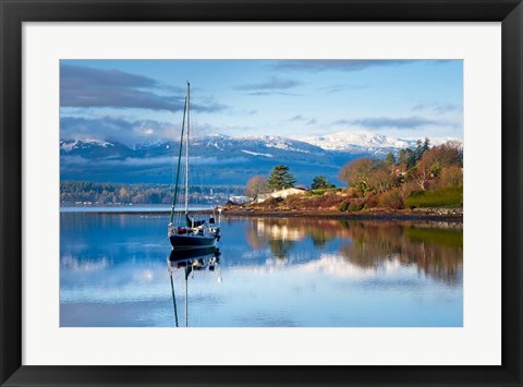 Framed Stillness Print