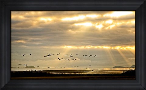 Framed Sunrise on The Estuary Print