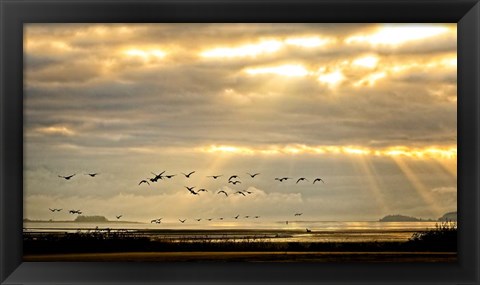 Framed Sunrise on The Estuary Print