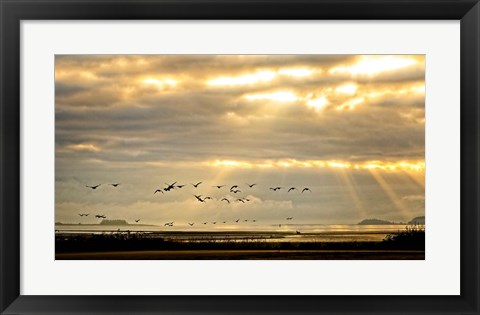 Framed Sunrise on The Estuary Print