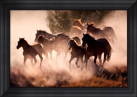 Framed Horses Print