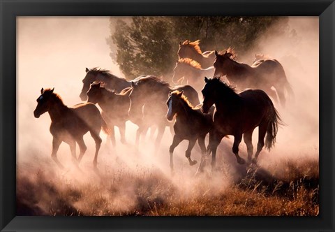 Framed Horses Print