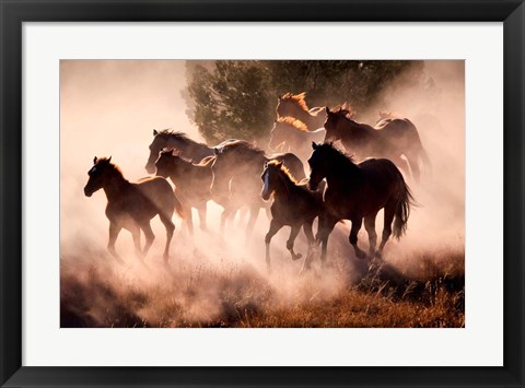 Framed Horses Print