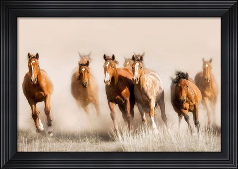 Framed Outlaws Print