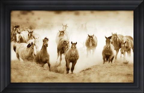 Framed San Cristobol Horses Print
