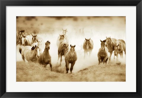 Framed San Cristobol Horses Print