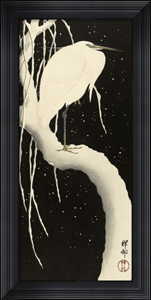 Framed Snowy Egret, 1925-1936 Print