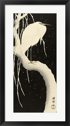 Framed Snowy Egret, 1925-1936 Print