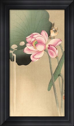 Framed Songbird and Lotus, 1900-1936 Print