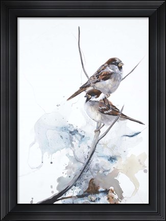 Framed Curiosity 1 Print