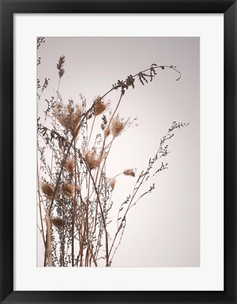 Framed Everlasting Print