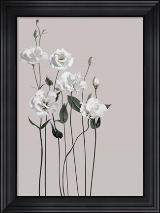 Framed Flower 1 Print