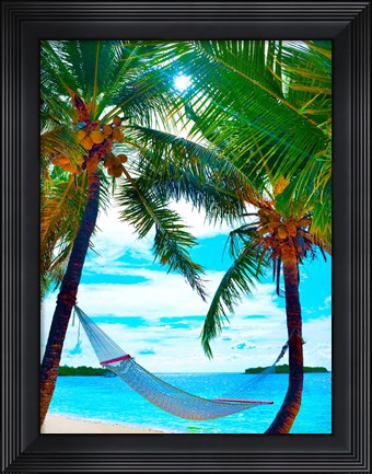 Framed Coconut Sun Print