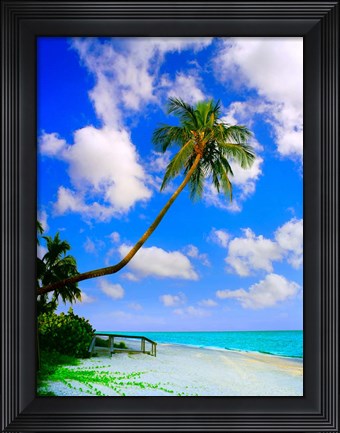 Framed Sanibel Island Print