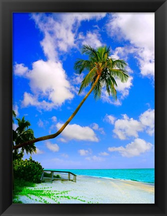 Framed Sanibel Island Print