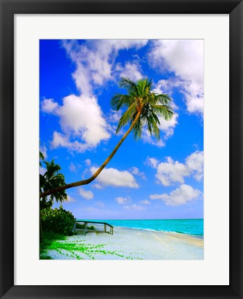 Framed Sanibel Island Print