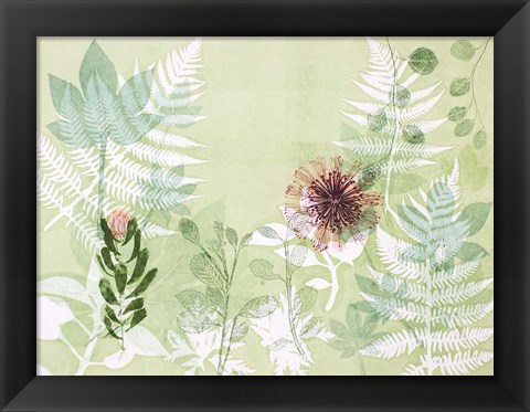 Framed Myriad Celebration of Plants Print