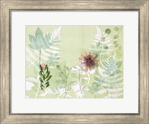 Framed Myriad Celebration of Plants Print