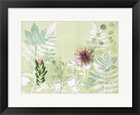 Framed Myriad Celebration of Plants Print