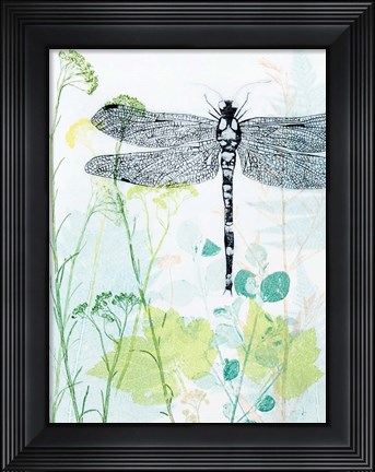 Framed Dragonfly And The Healing Plant Print