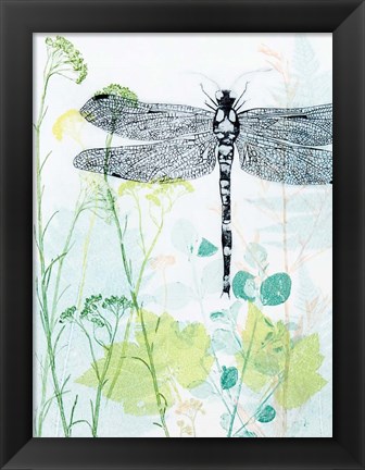 Framed Dragonfly And The Healing Plant Print